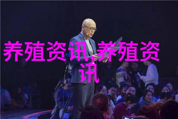 鸡蛋的价格下降了近17的母鸡过冬