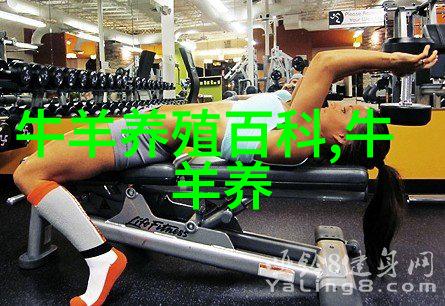 甘蔗的饲用价值及在肉牛业中的应用前景